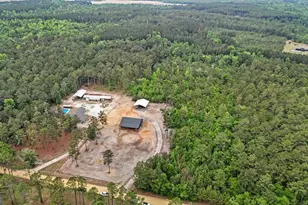 51 N Prong Rd, Swainsboro, GA 30401 - Photo 47