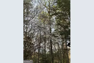 47 Harris Drive, Blue Ridge, GA 30513 - Photo 45