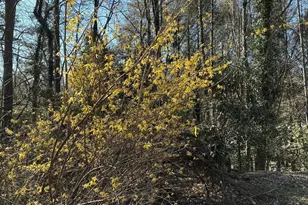 47 Harris Dr, Blue Ridge, GA 30513 - Photo 51