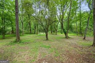 248 River Park Dr, Newnan, GA 30265 - Photo 69