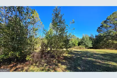 0 Fox Bridge Road, Chatsworth, GA 30705 - Photo 11