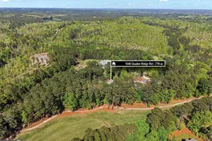 1040 Quaker Ridge Rd, Greensboro, GA 30642 - Photo 61