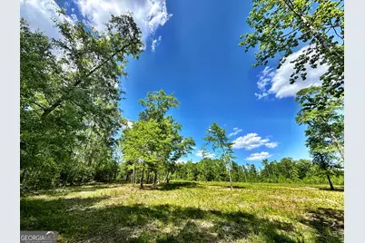 0 Wilson Way, Musella, GA 31066 - Photo 3
