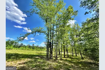 0 Wilson Way, Musella, GA 31066 - Photo 5