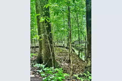 0 Wilson Way, Musella, GA 31066 - Photo 7