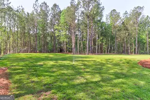 100 Roberts Rd, Springfield, GA 31329 - Photo 49