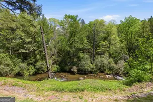 497 Mill Trace Ct, Cleveland, GA 30528 - Photo 27