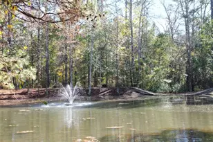 1051 Copperville Dr, Watkinsville, GA 30677 - Photo 37