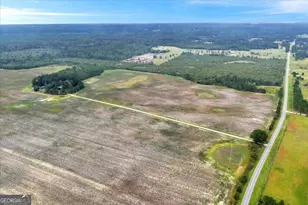 568 Hopewell Church Rd, Rhine, GA 31077 - Photo 59