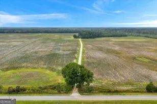 568 Hopewell Church Rd, Rhine, GA 31077 - Photo 61