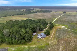 568 Hopewell Church Rd, Rhine, GA 31077 - Photo 79