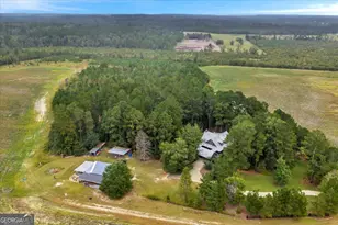 568 Hopewell Church Rd, Rhine, GA 31077 - Photo 63