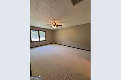 3791 Patricia Court, Douglasville, GA 30135 - Photo 13