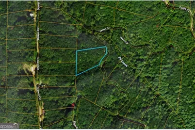 Lot #206 Dowel Circle, Ellijay, GA 30540 - Photo 3