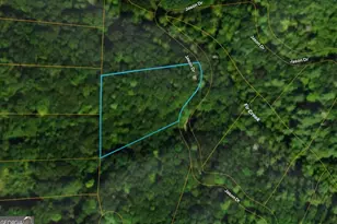 Lot #206 Dowel Circle, Ellijay, GA 30540 - Photo 1