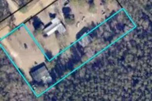 554 Rabitsch Rd, Millen, GA 30442 - Photo 31