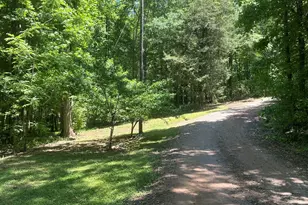 8622 Whitehouse Pkwy, Woodbury, GA 30293 - Photo 43