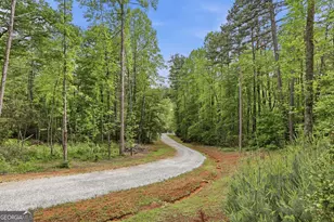 5442 Lake Rabun Rd, Lakemont, GA 30552 - Photo 5
