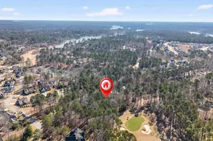 1841 Osprey Poynte, Greensboro, GA 30642 - Photo 7