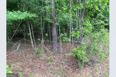 1716 Ranger Road, Warrenton, GA 30828 - Photo 27