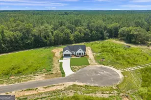 624 Ellie Circle, Dublin, GA 31021 - Photo 47