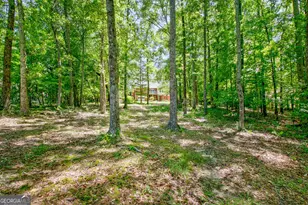 35 Ashford Ln, Sharpsburg, GA 30277 - Photo 73