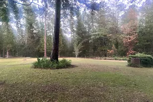 371 Buchanan Rd, Eastman, GA 31023 - Photo 5