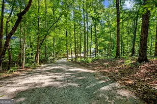 893 Happy Valley Cir, Newnan, GA 30263 - Photo 43