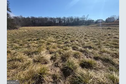 7 Acres Wheeler Road, Demorest, GA 30535 - Photo 15