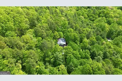 325 Kitchins Lane, Clayton, GA 30525 - Photo 47