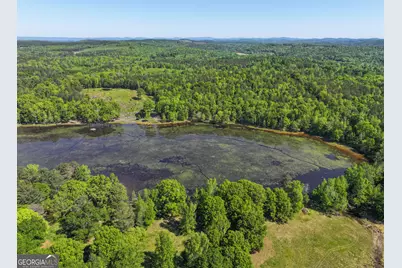 360 Parrish Road (16 +/- Acres), Cedartown, GA 30125 - Photo 43