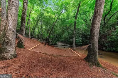 390 Twin Creeks, Blue Ridge, GA 30513 - Photo 57