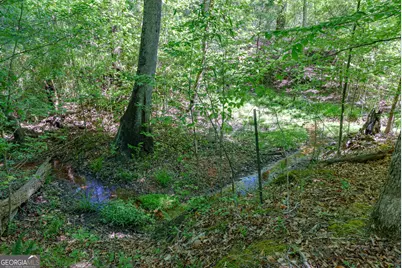 0 Cunningham Road, Lexington, GA 30648 - Photo 21