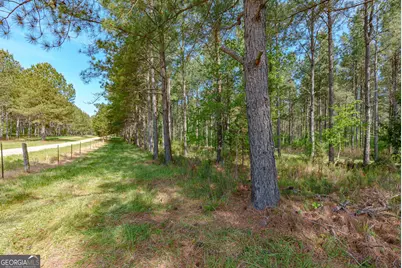 0 Cunningham Road, Lexington, GA 30648 - Photo 3