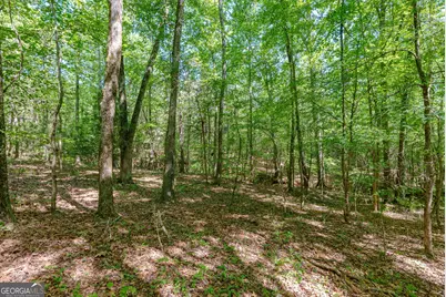 0 Cunningham Road, Lexington, GA 30648 - Photo 17
