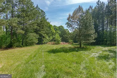 0 Cunningham Road, Lexington, GA 30648 - Photo 9
