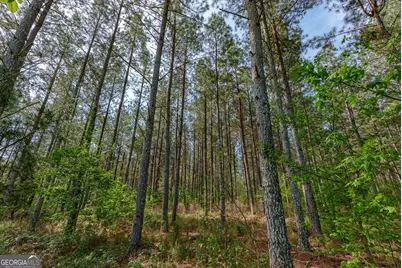0 Cunningham Road, Lexington, GA 30648 - Photo 11