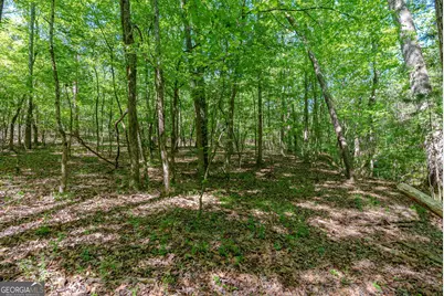 0 Cunningham Road, Lexington, GA 30648 - Photo 19