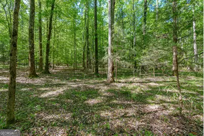 0 Cunningham Road, Lexington, GA 30648 - Photo 23