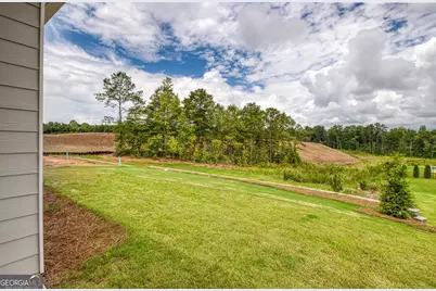 115 Redhaven Drive, Senoia, GA 30276 - Photo 29