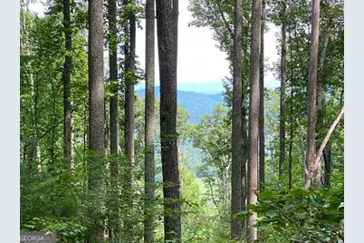 Lot 1 High Country Lane, Morganton, GA 30560 - Photo 5