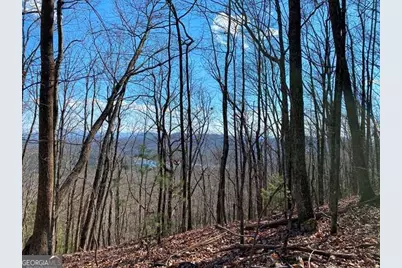 Lot 1 High Country Lane, Morganton, GA 30560 - Photo 7