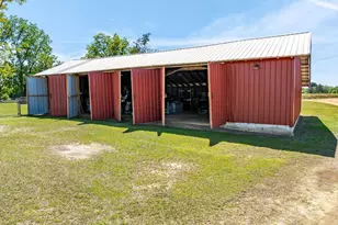 1975 Russell Smith Rd, Sycamore, GA 31790 - Photo 47