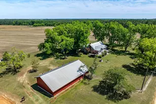 1975 Russell Smith Rd, Sycamore, GA 31790 - Photo 45