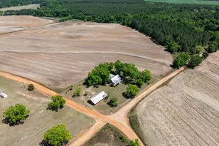 1975 Russell Smith Rd, Sycamore, GA 31790 - Photo 57