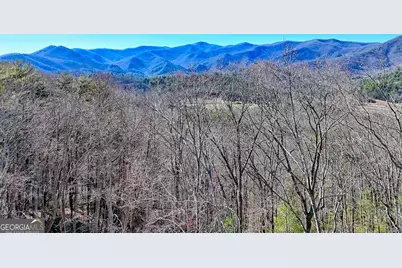 438 Mill Ridge Road, Hiawassee, GA 30546 - Photo 57