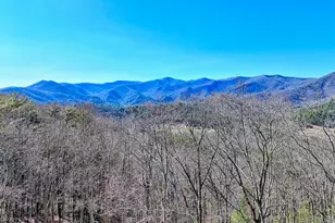 438 Mill Ridge Rd, Hiawassee, GA 30546 - Photo 57