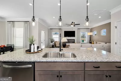 1410 Trellis Court #LOT 20, Hampton, GA 30228 - Photo 13