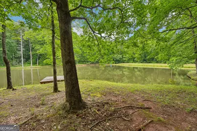 164 Vaughn Road, Newnan, GA 30265 - Photo 73