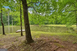 164 Vaughn Rd, Newnan, GA 30265 - Photo 73